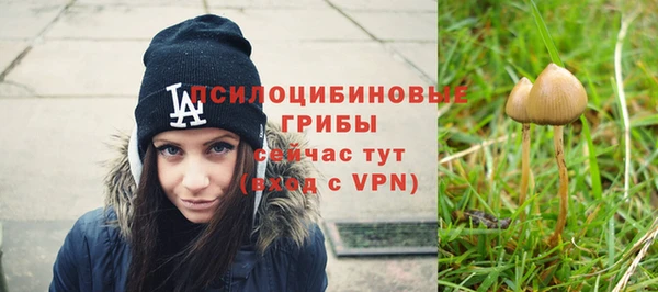 гидропоника Алзамай