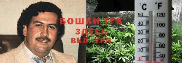гидропоника Алзамай