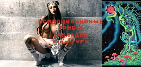 гидропоника Алзамай
