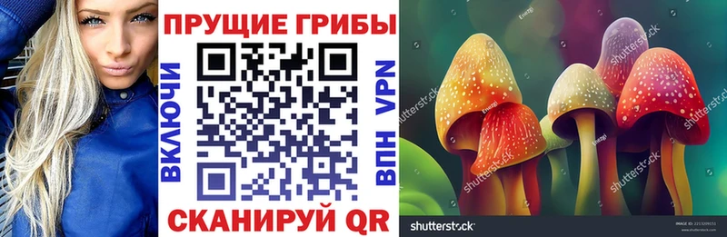 как найти закладки  Калтан  Галлюциногенные грибы мицелий 